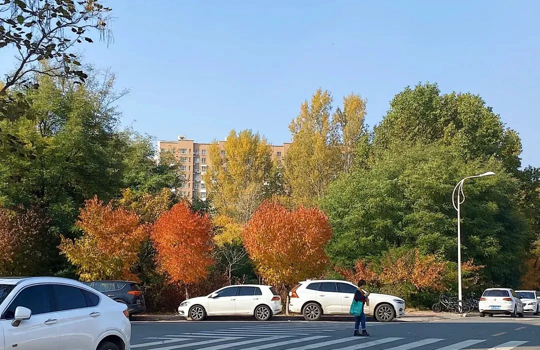 女篮运动员如何强化篮球技能_2